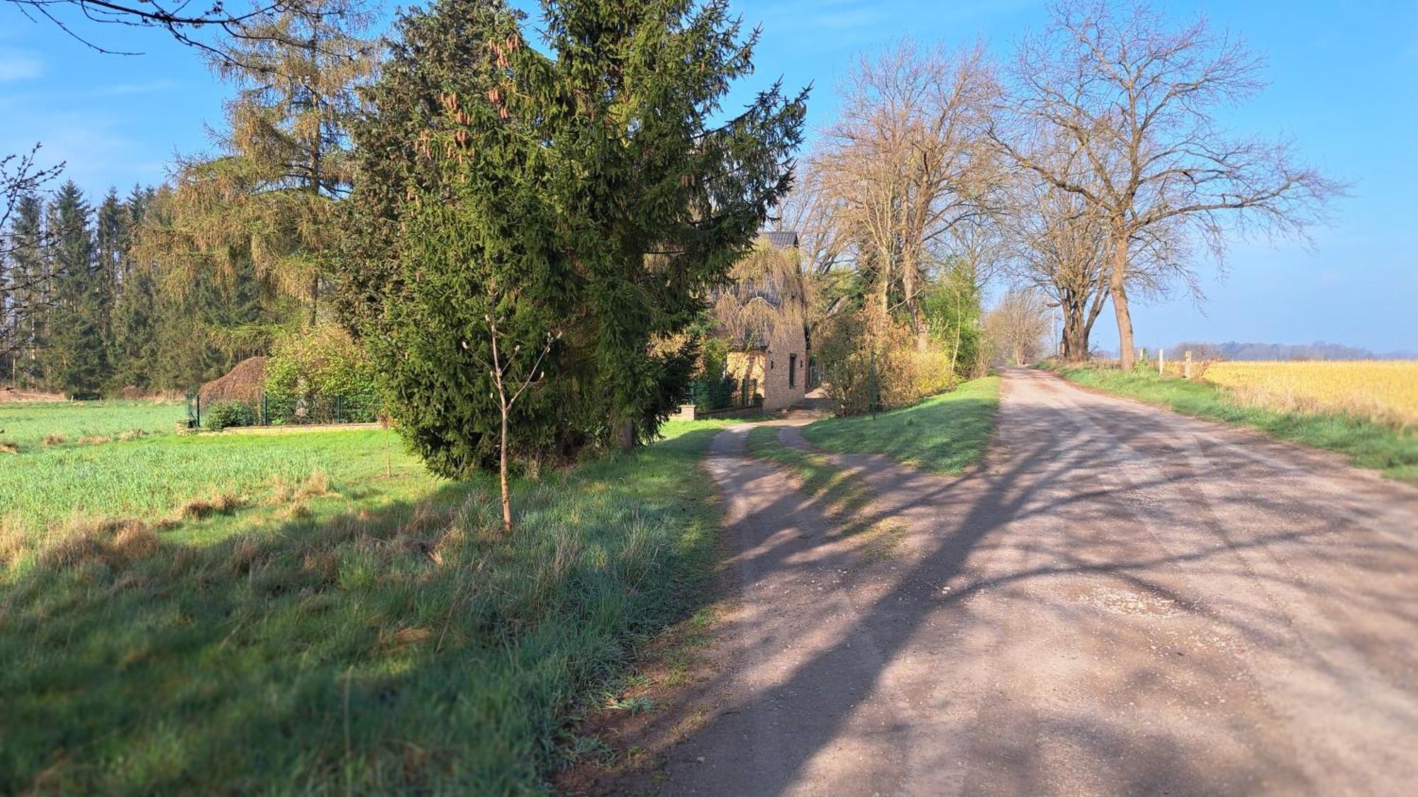 Gabis Ferienwohnung Bendingbostel エクステリア 写真